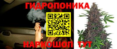2c-b Канаш