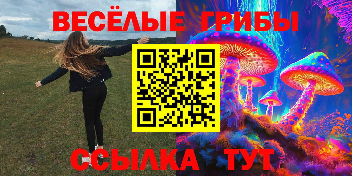 Псилоцибиновые грибы прущие грибы  Вход с VPN  Куйбышев 